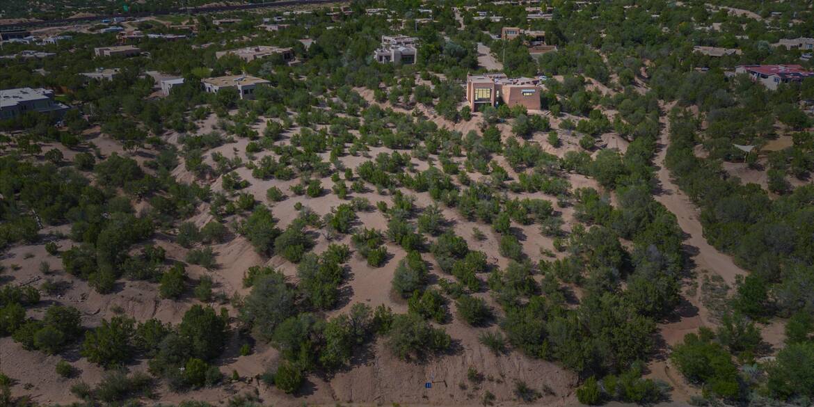 -landscape.jpg