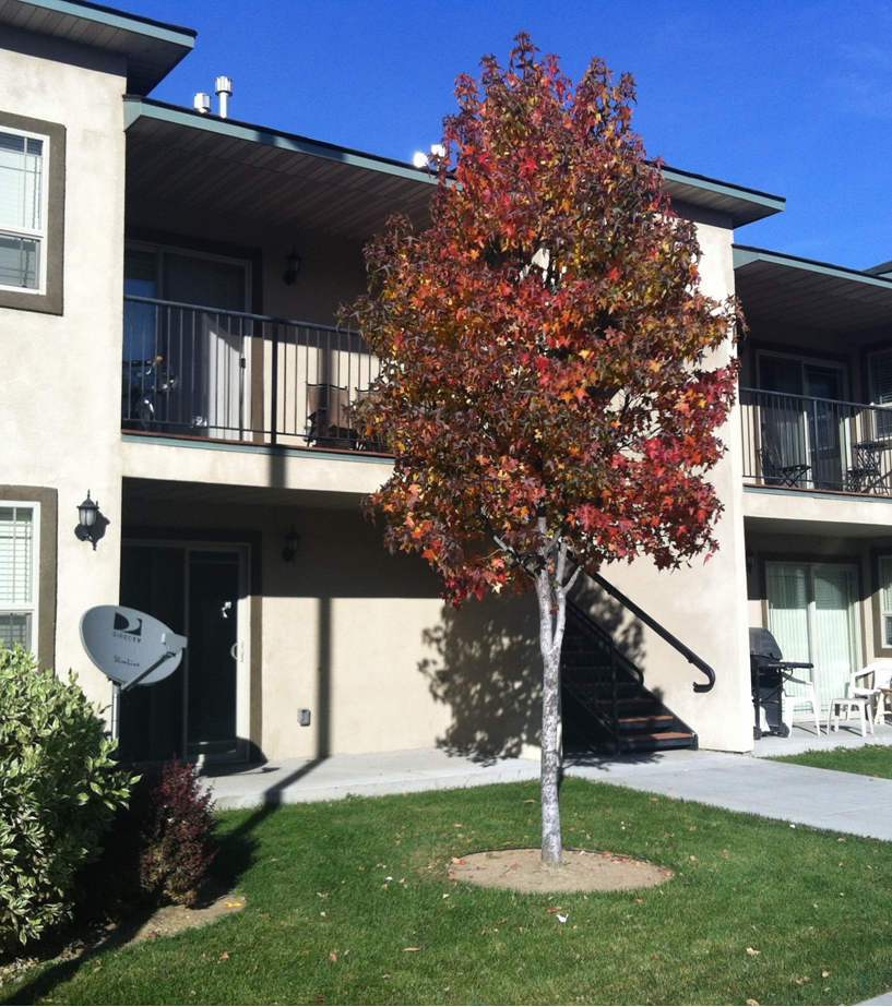 Boise Fourplex for sale!