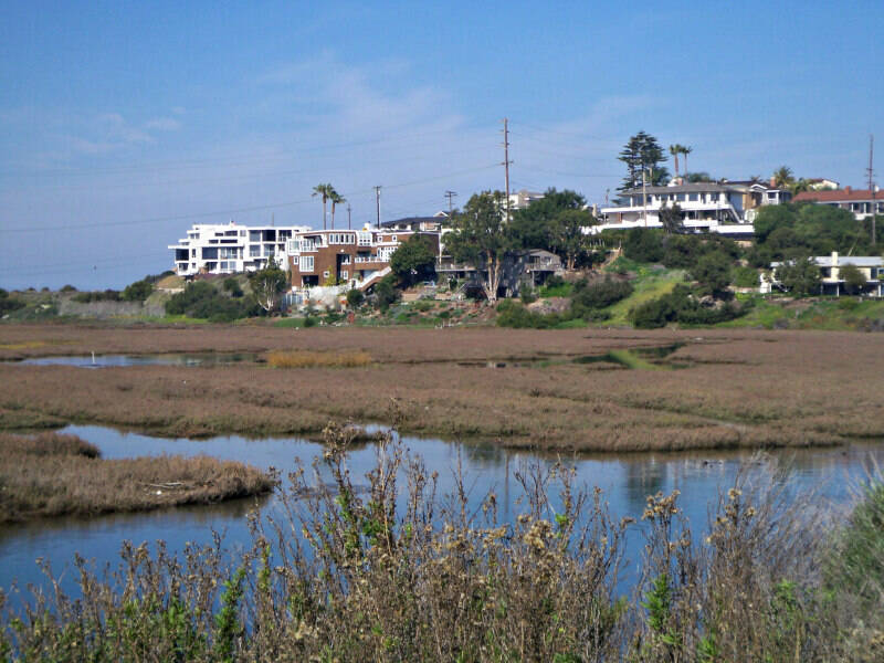 San_Elijo_Lagoon_in_Cardiff.jpg