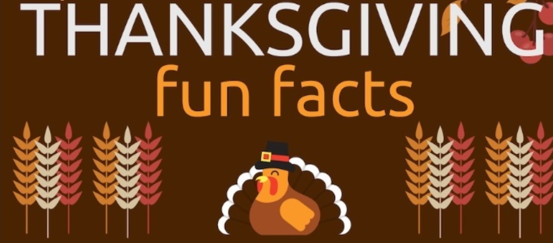 fun-facts-about-thanksgiving-infographic
