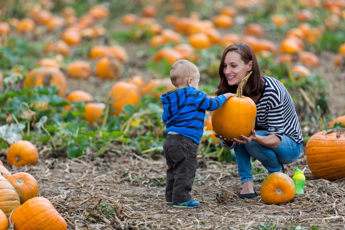 BEST PUMPKIN PATCHES IN RANCHO CUCAMONGA