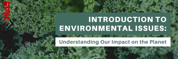 Introduction to Environmental Issues: Understanding Our