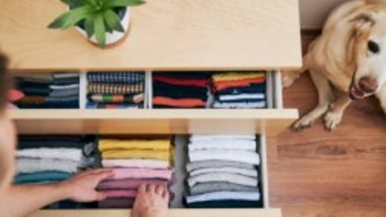 Organize.jpg