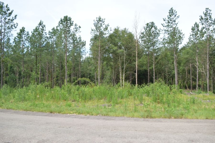 Land For Sale In North Pike School District Mississippi