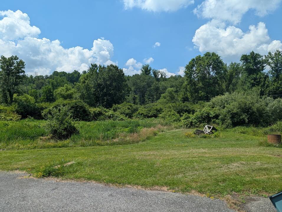 PXL_20260629_152741692.jpg
