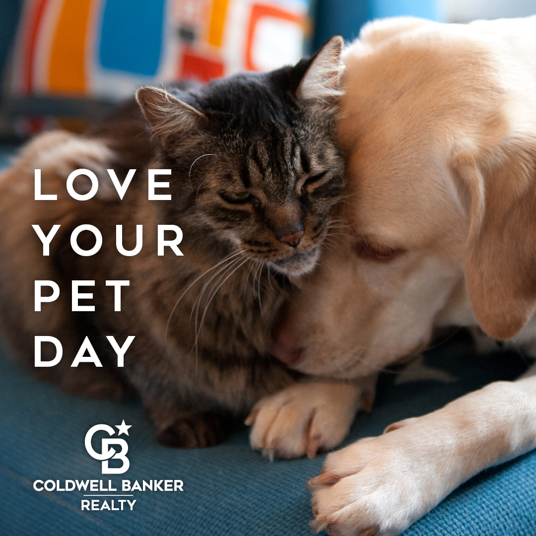 National Love Your Pet Day February 20, 2022