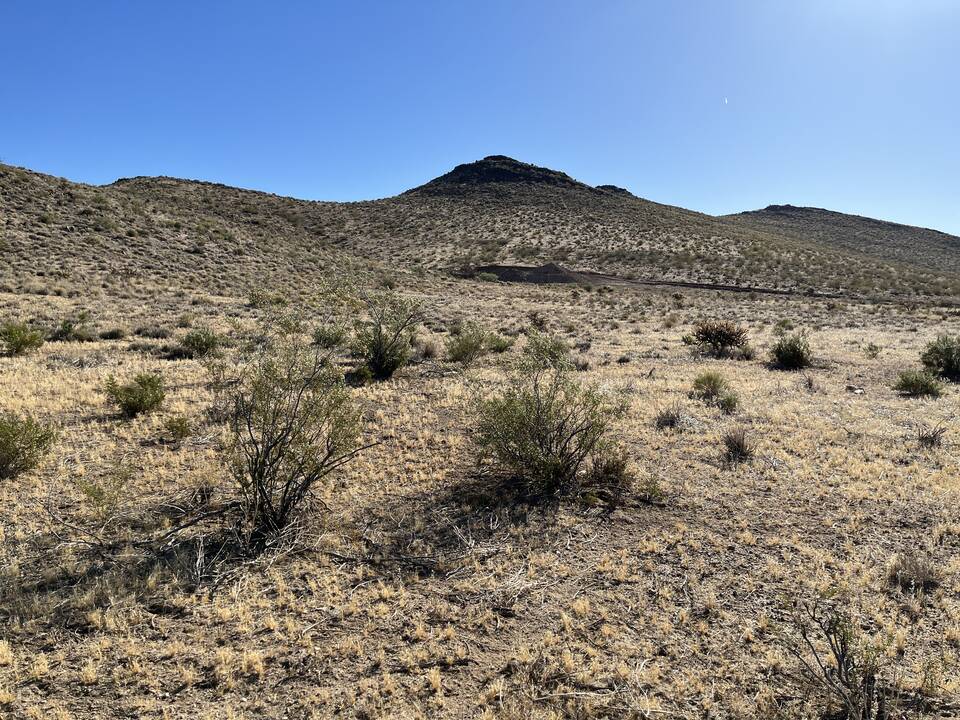 Looking_NE_from_SW_Property_Corner.JPG