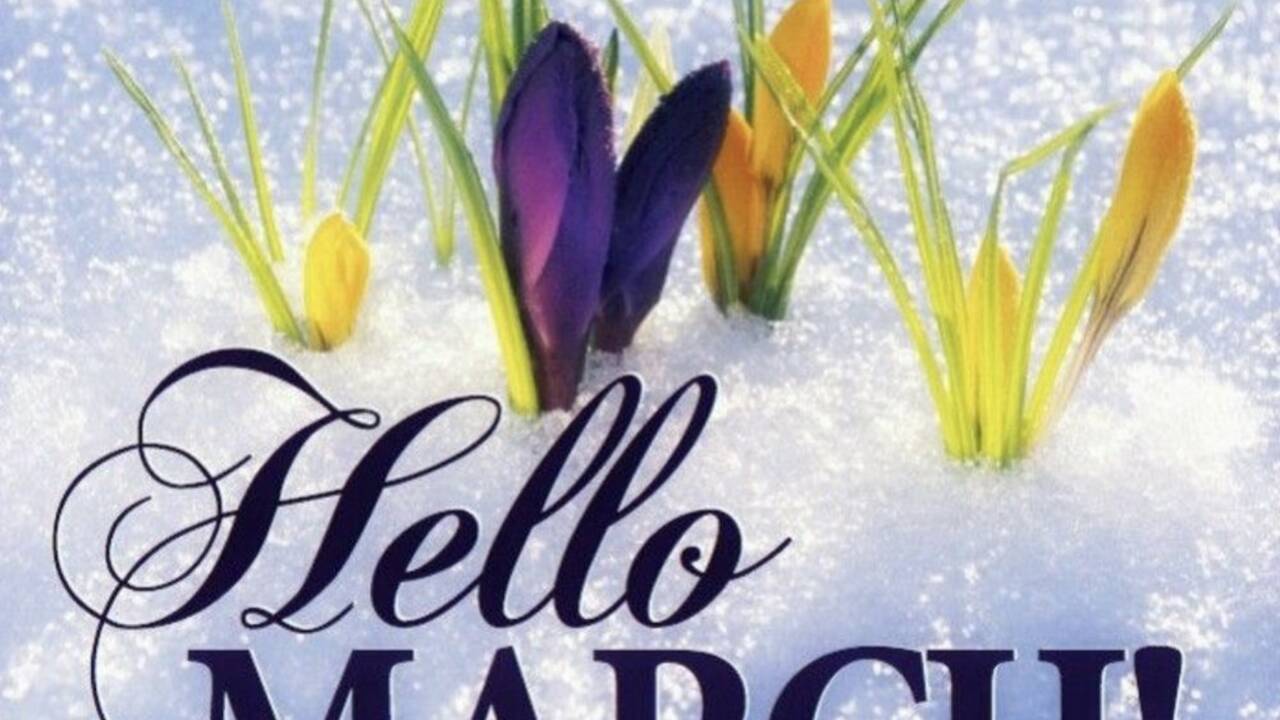Flowers_popping_through_snow.jpg
