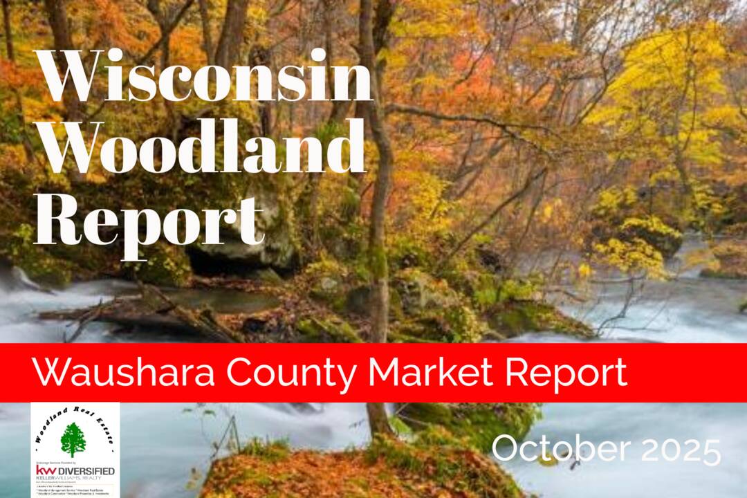 Waushara_10-2025_Woodland-Reports-1800x1200-layout1775-1kdt60r.png
