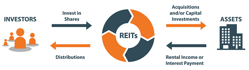 Real Estate Investment Trusts