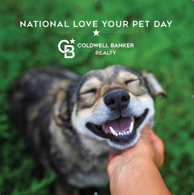 national_love_your_pet_day_2021.jpg