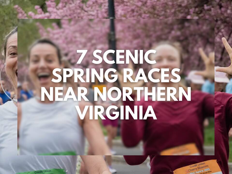 7 Scenic Spring Races Near Northern Virginia