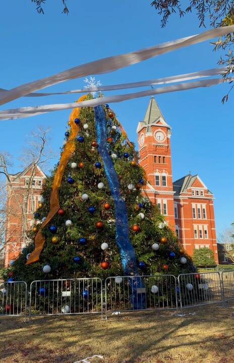 auburn_university_christmas_tree_samford_lawn_9.jpg