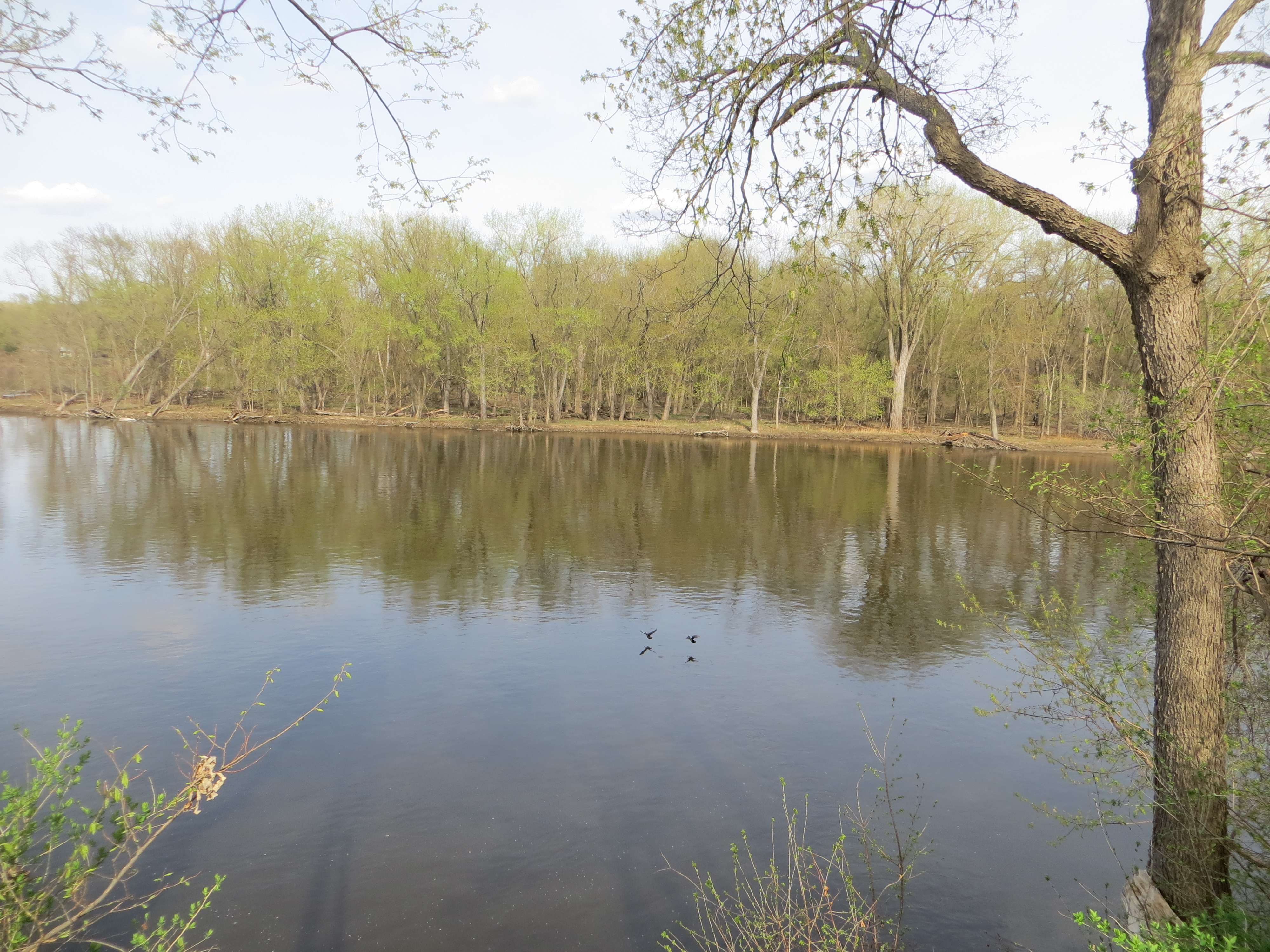 Mississippi River home in Brooklyn Park