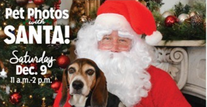 Pet Photos With Santa In Baltimore