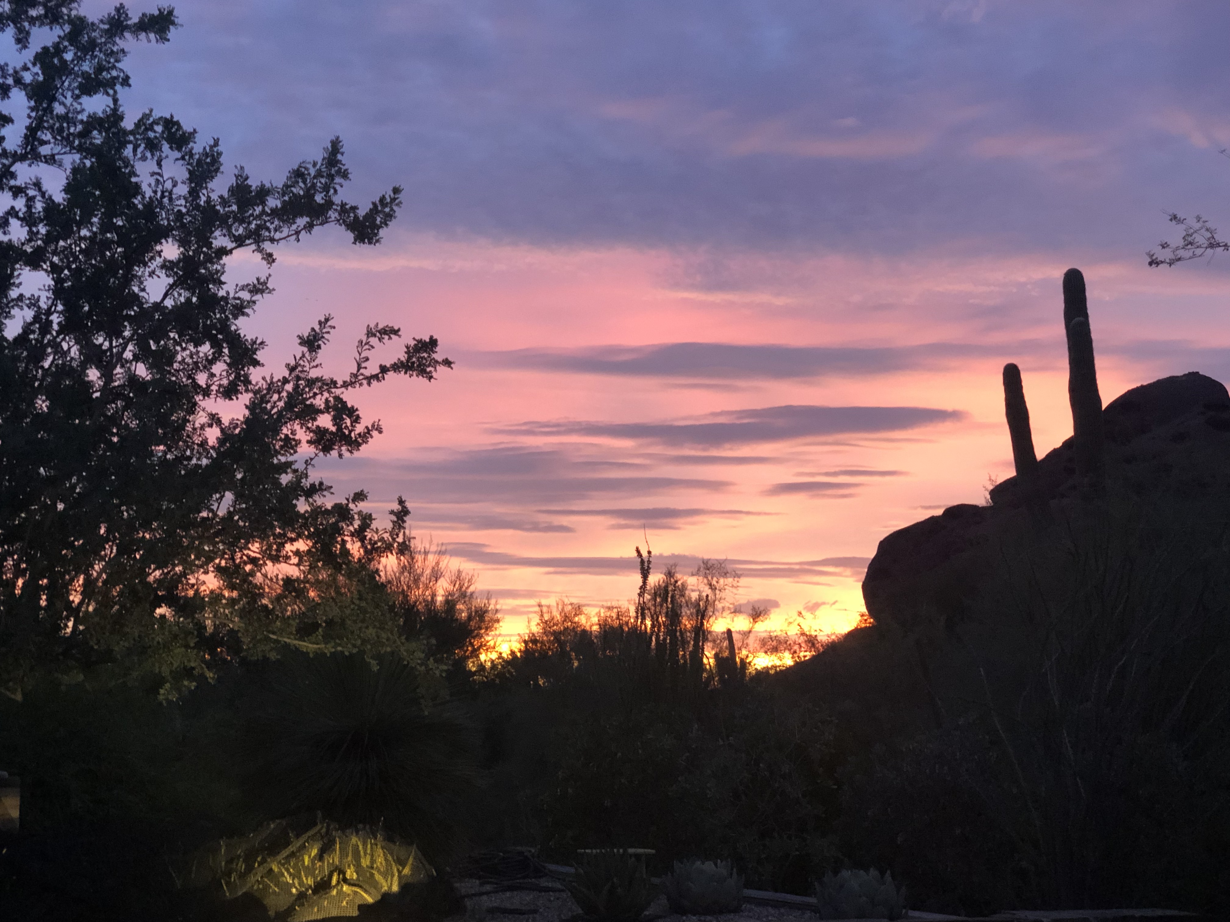 August Colors of the Desert