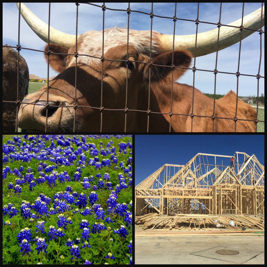 Texas Insights Into the Housing Market