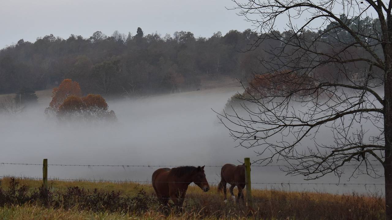 Osarks Ranch Arkansas Ozarks Horse Ranch for sale near Salem