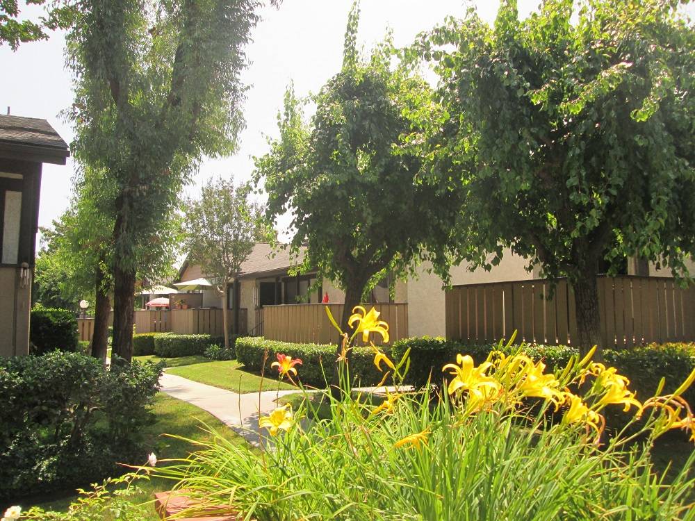 Glenbrook Townhomes in Arcadia