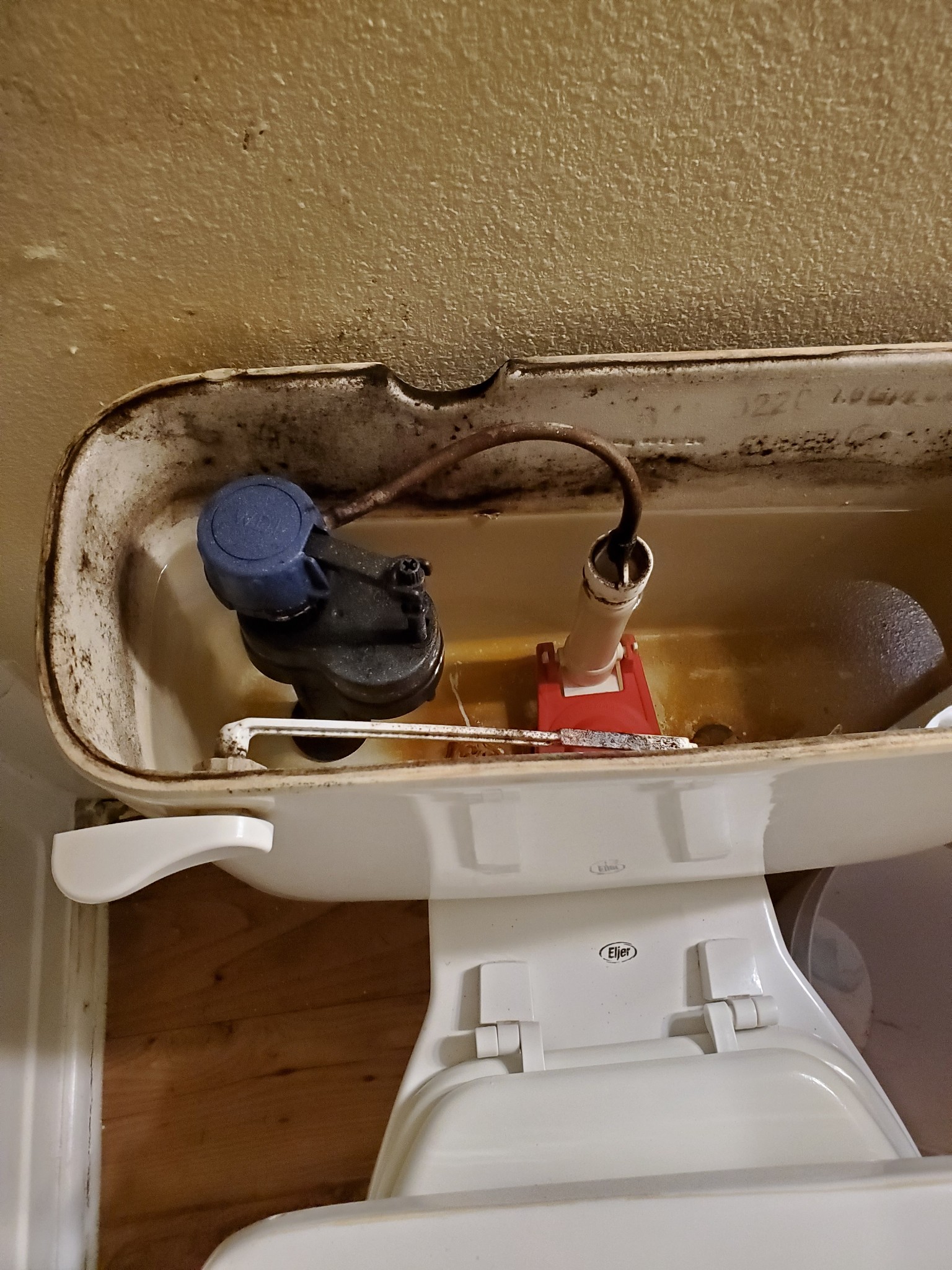 Toilet Mold Clean up and Mold Removal tips. Cleaning.