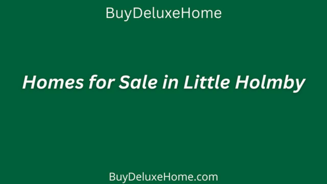 BuyDeluxeHome_Blog_(1).png