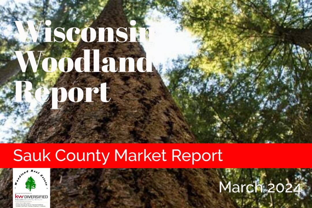 Wisconsin Woodland Report March 2024 Sauk County Land