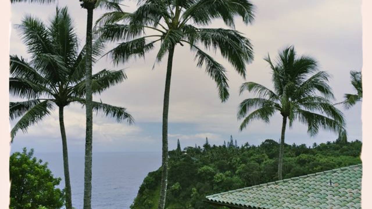 header.jpg