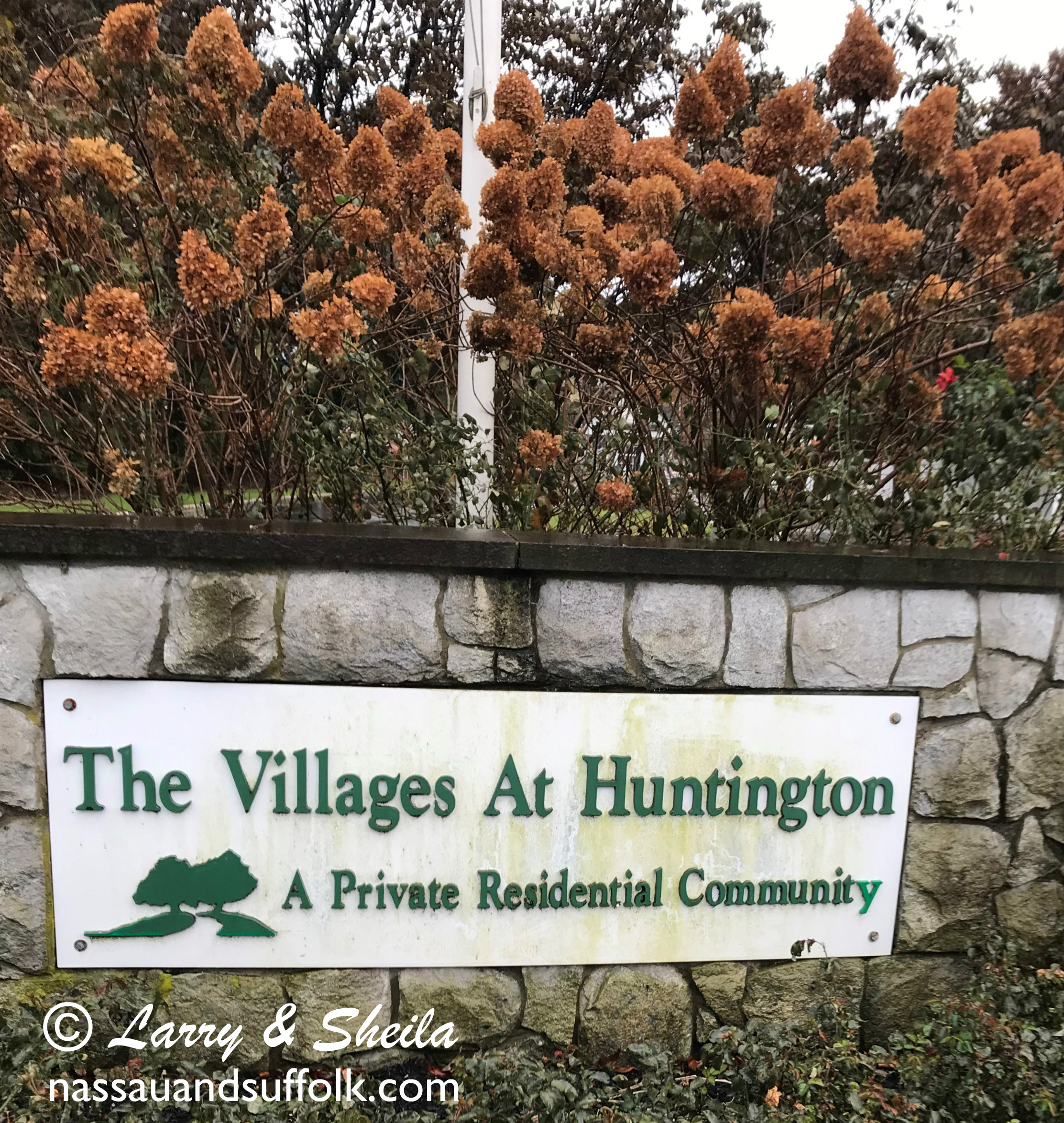 Melville Long Island Subdivision Homes in The Villages