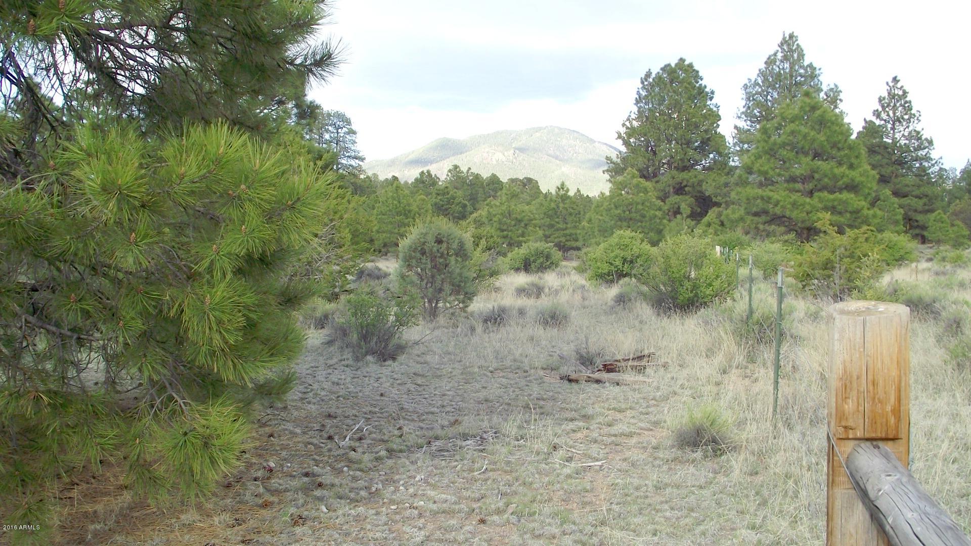 Williams, AZ Land For Sale 10 Acre Lot In Coconino For