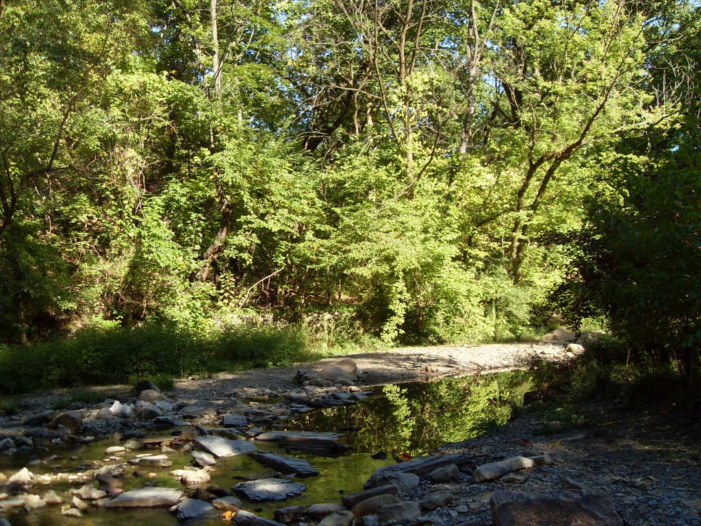 Clintonville Homes for Sale This Week 12.26.21