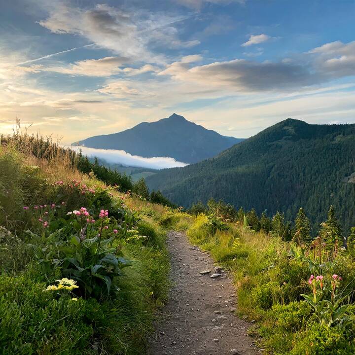 Grateful_nature.jpg