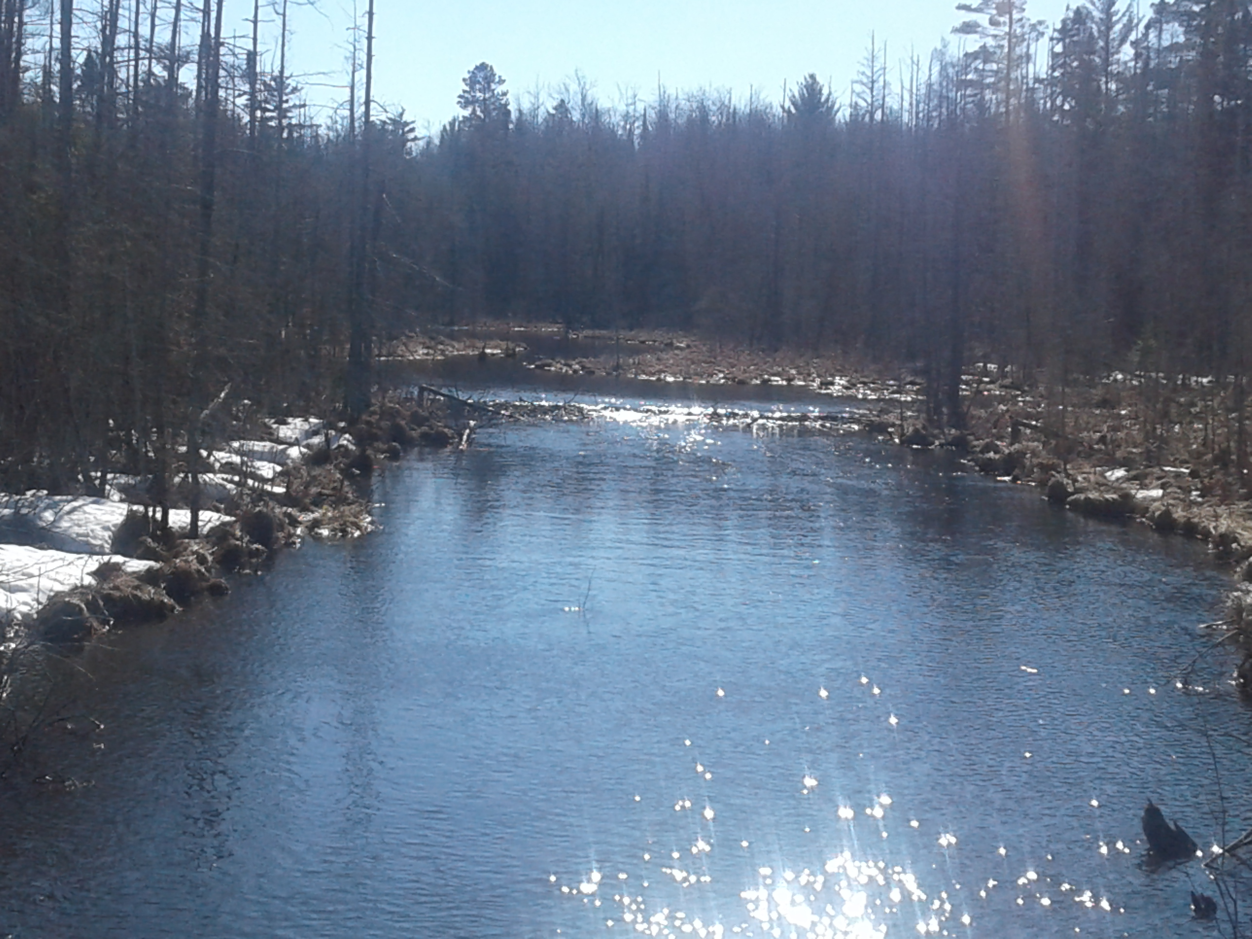 Little Rapid River Frontage on 10 acres a Sportman Drea