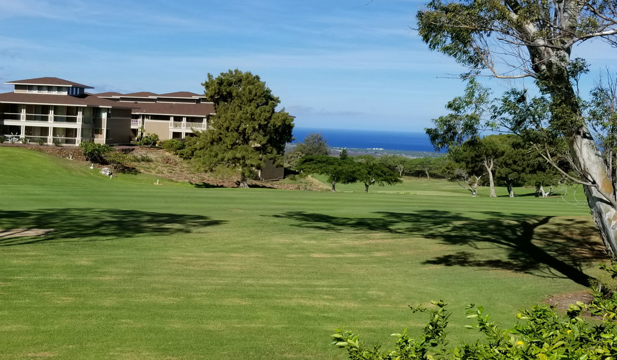 The Five Highest Priced Homes Sold in Waikoloa Village