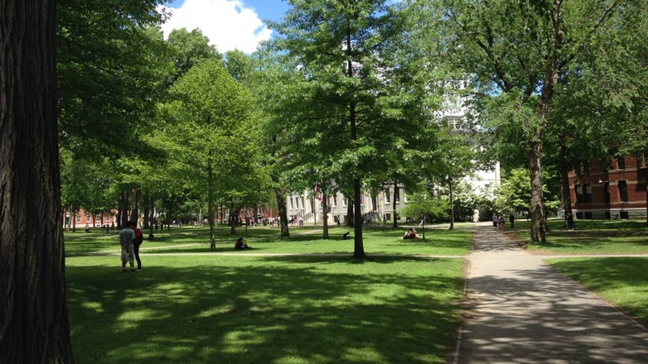 The_Yard_at_Harvard_University.jpg