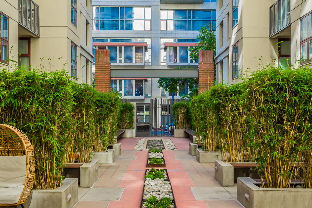 2-web-or-mls-1150-j-st-unit-204.jpeg
