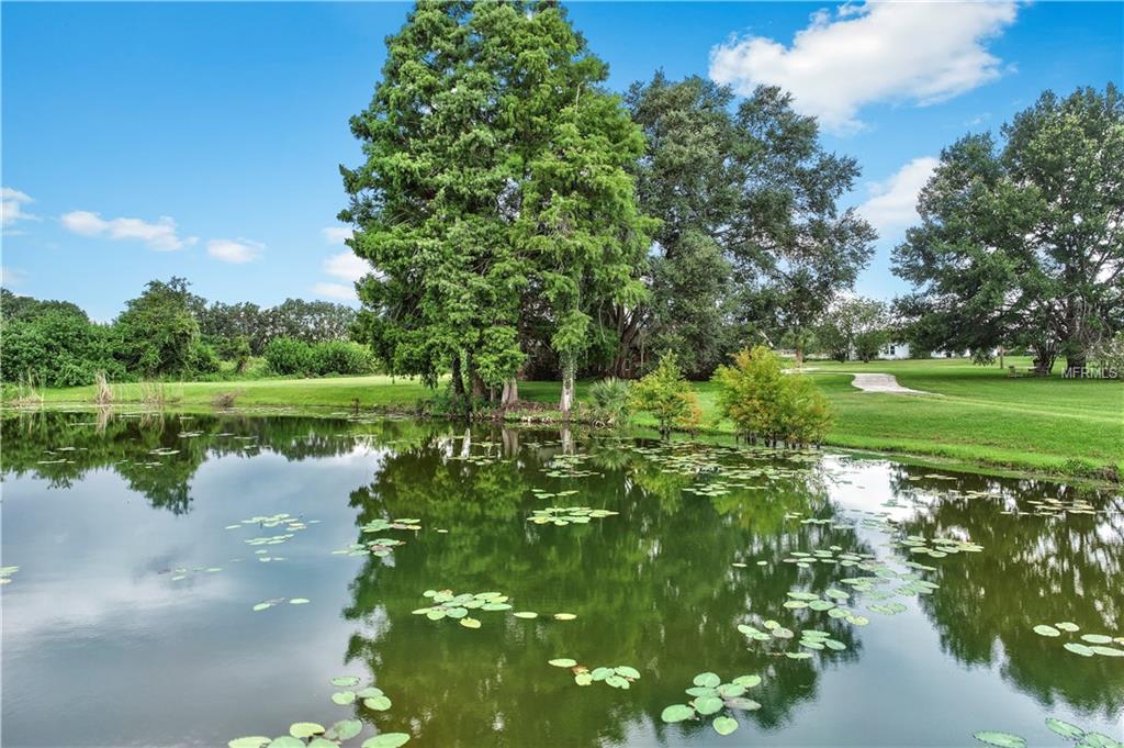 Hobby Farm in Winter Haven Just Sold