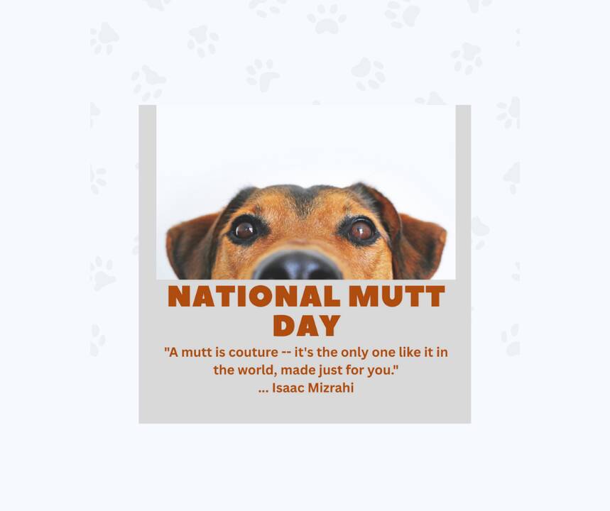 national_mutt_day_2025_AR.png