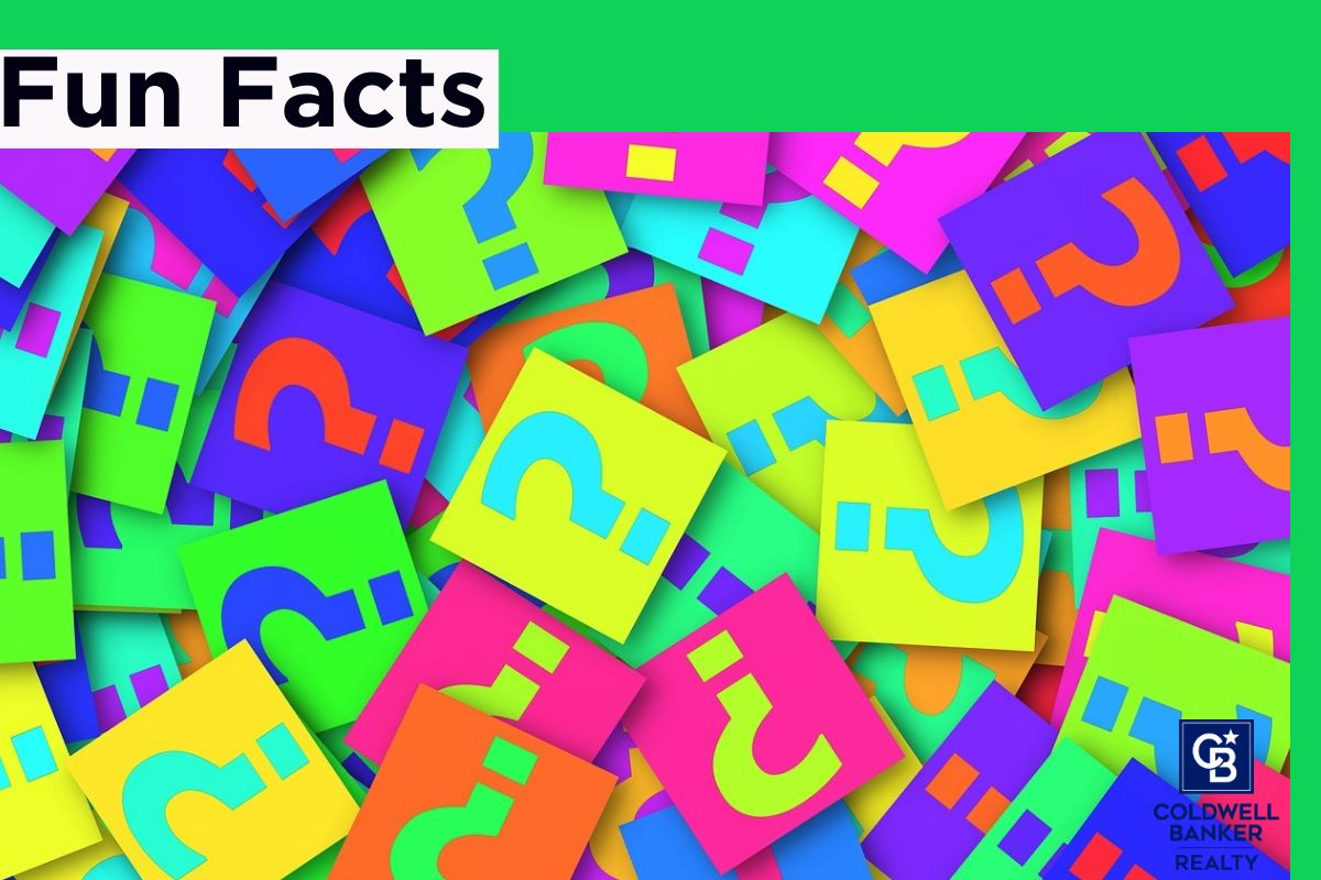 fun facts about dodos