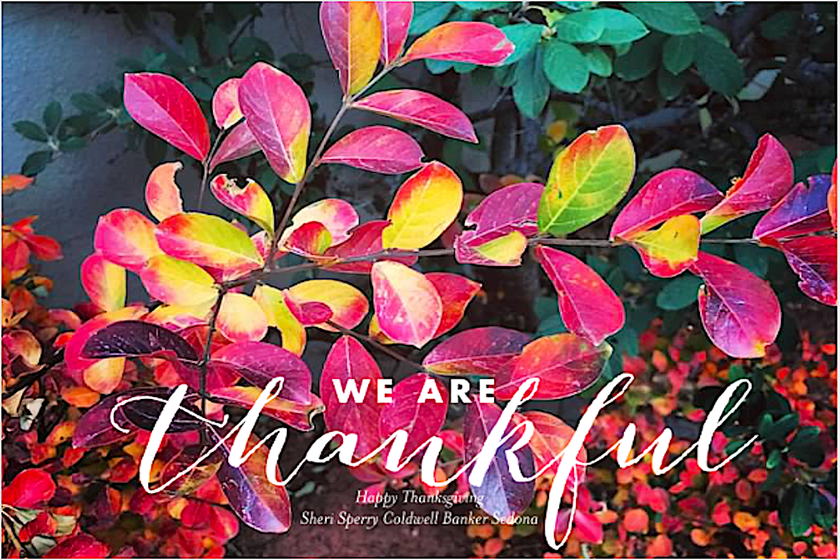 We_Are_Thankful....png