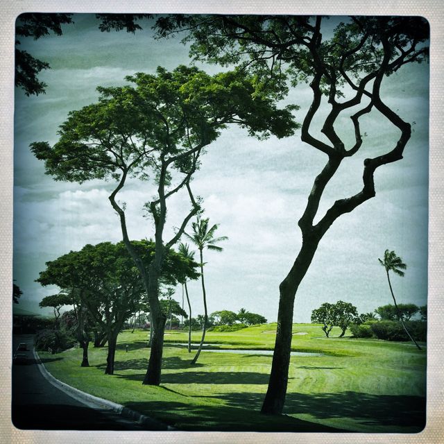 Wailea Maui HI condo sales Wailea Fairway Villas May