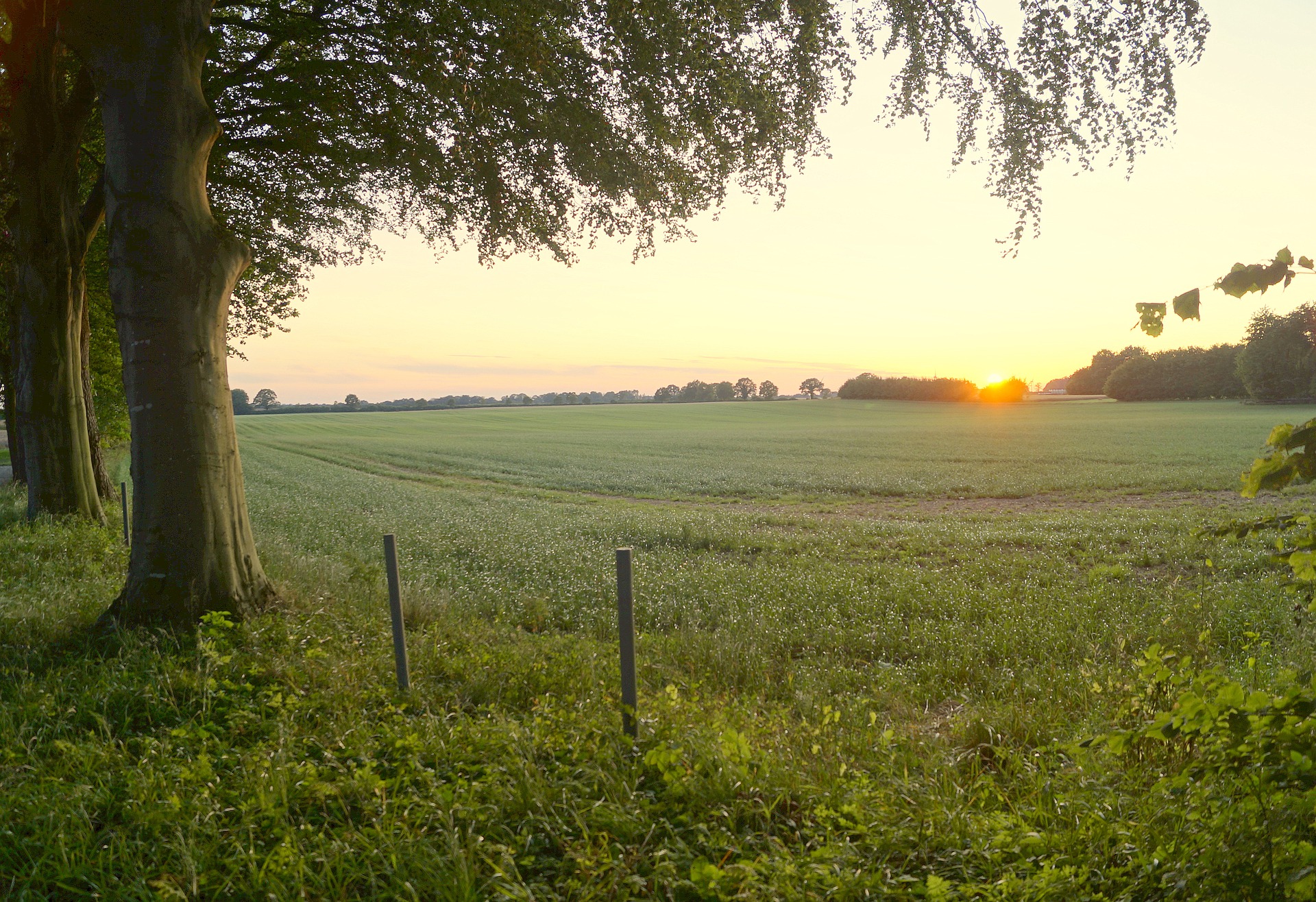 Re/Max Results MN Acreage Lots For Sale