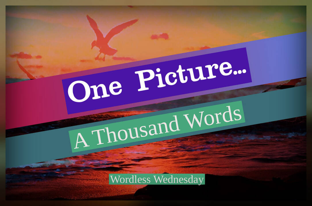 Wordless Message Wordless Wednesday…More Signs and Messages