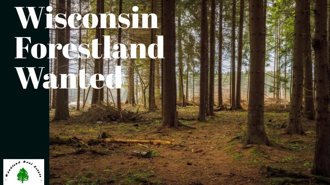 Wanted_Wisconsin_Forestland_1800x1200-layout1775-1ggbm9r_1_.png