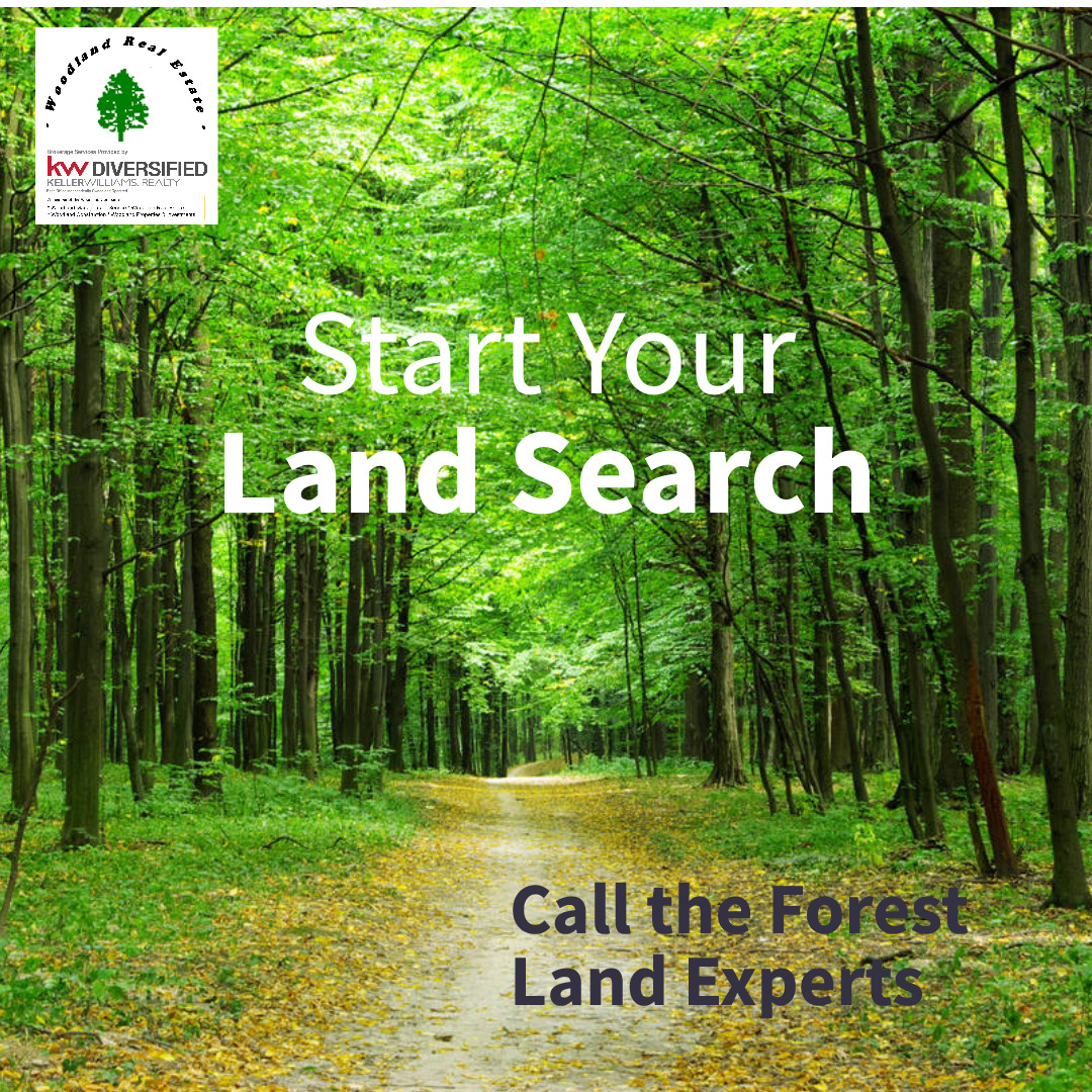 MARATHON COUNTY FOREST HUNTING & TIMBER LAND WANTED! De