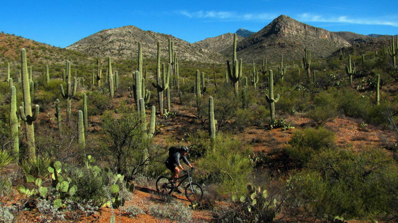 Arizona_Trail.jpg