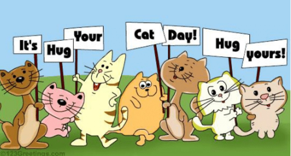 It_is_hug_your_cat_day.jpg