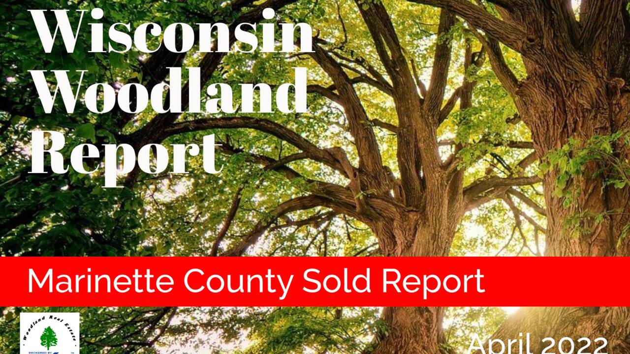 Marinette_SOLD_Woodland-Reports-1800x1200-layout1775-1h4p6sg.png