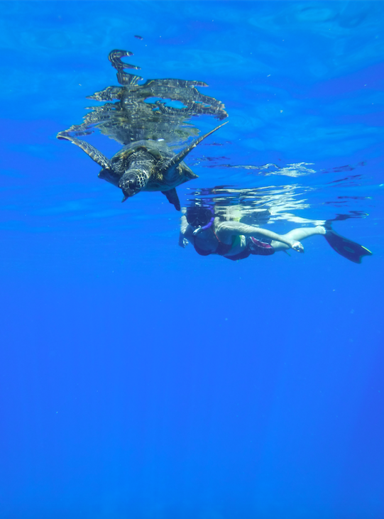 kaanapali snorkeling tours