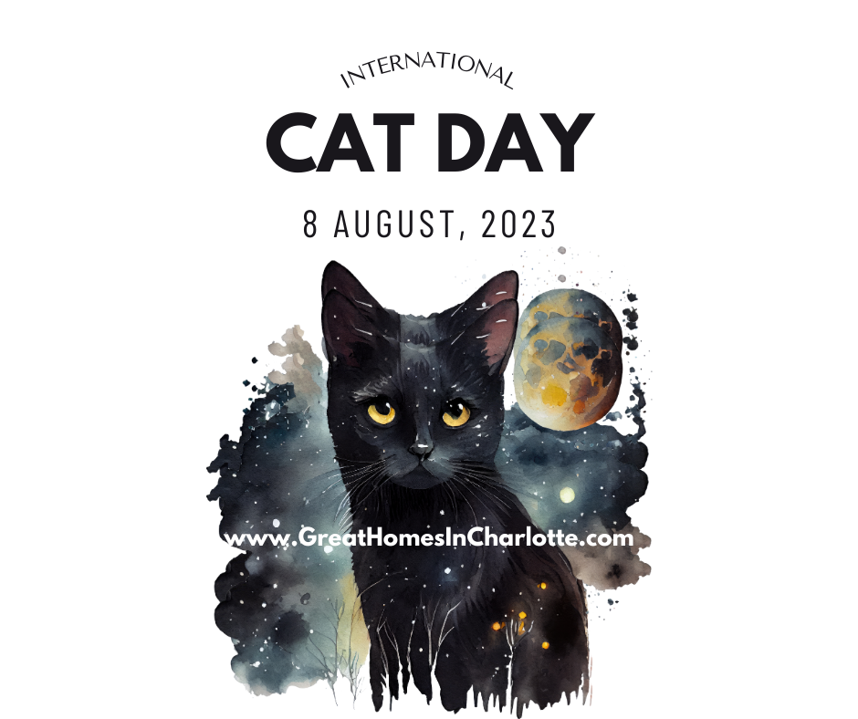 When Is Cat Day 2024 Keely Melessa