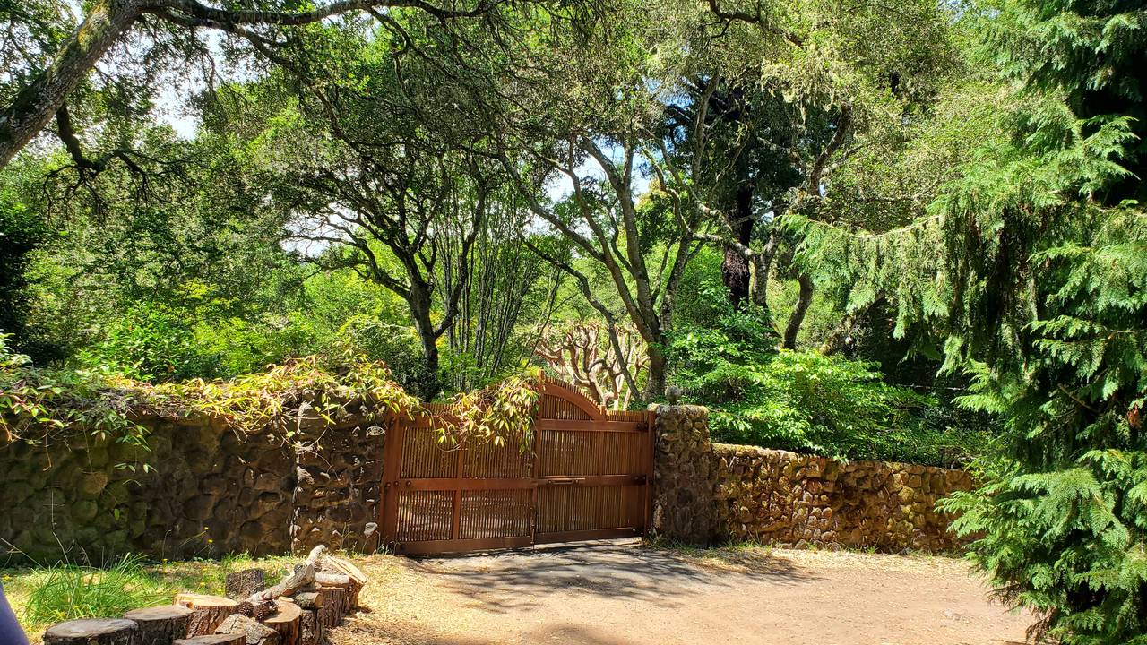 20200716_125445.jpg